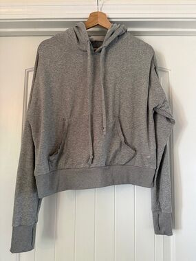 Marika Gray Hooded Cropped Sweatshirt
